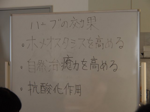パンとハーブティーのマリアージュ。